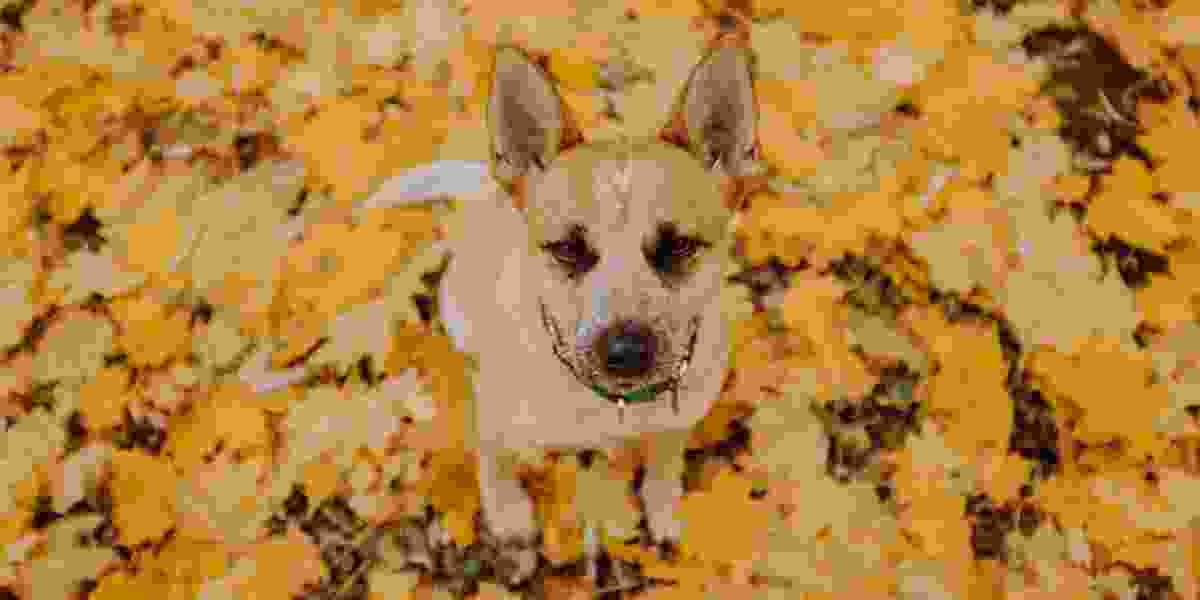 World is Ours World is Ours